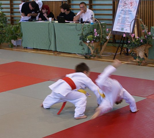 turniej_judo_2010_096