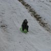 kulig_zastawno_2010_27