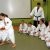 Trening - Sakura