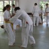 waplewo_2009_043