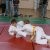 XIV Międzynarodowy Ostródzki Turniej Dzieci w Judo 