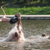 img_7711